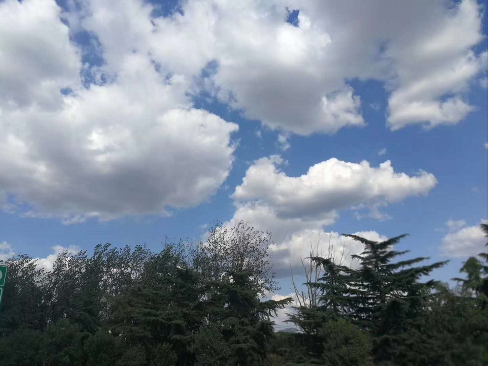 PG�ͽ�Ů����̬ũ�������´���