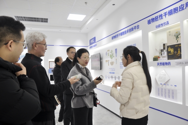 _DSC0037_副本 _DSC0037_副本.jpg