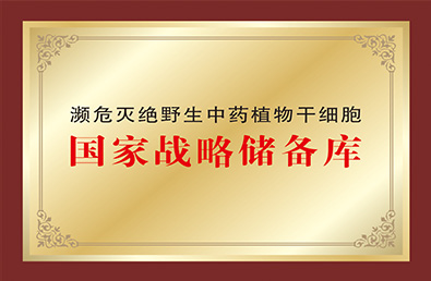 pg�ͽ�Ů��(�ٷ�)����IOS/��׿��/�ֻ���APP����