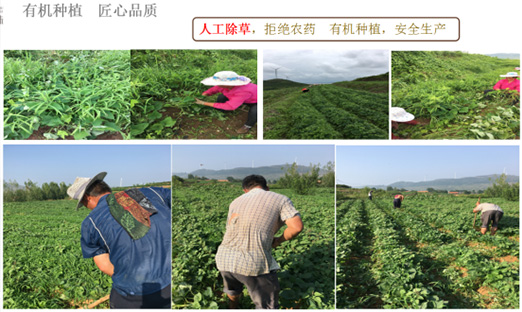 ��ɽ��PG�ͽ�Ů����Ȫũҵ�Ƽ����޹�˾���������ٻ�ɽ��ʡ�����ִ�ũҵ�Ƽ���ģ����