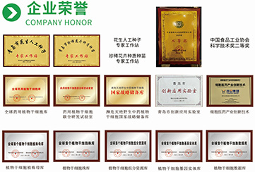 ��ҵ����