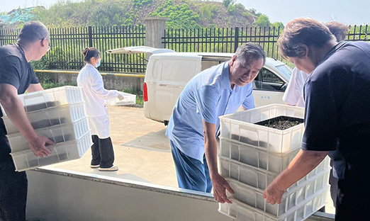 ���˹�����ҵ����������PG�ͽ�Ů������������ʽת�����