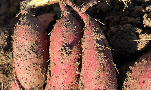 PG�ͽ�Ů������ϸ������ӭ�״η���