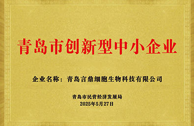 pg�ͽ�Ů��(�ٷ�)����IOS/��׿��/�ֻ���APP����